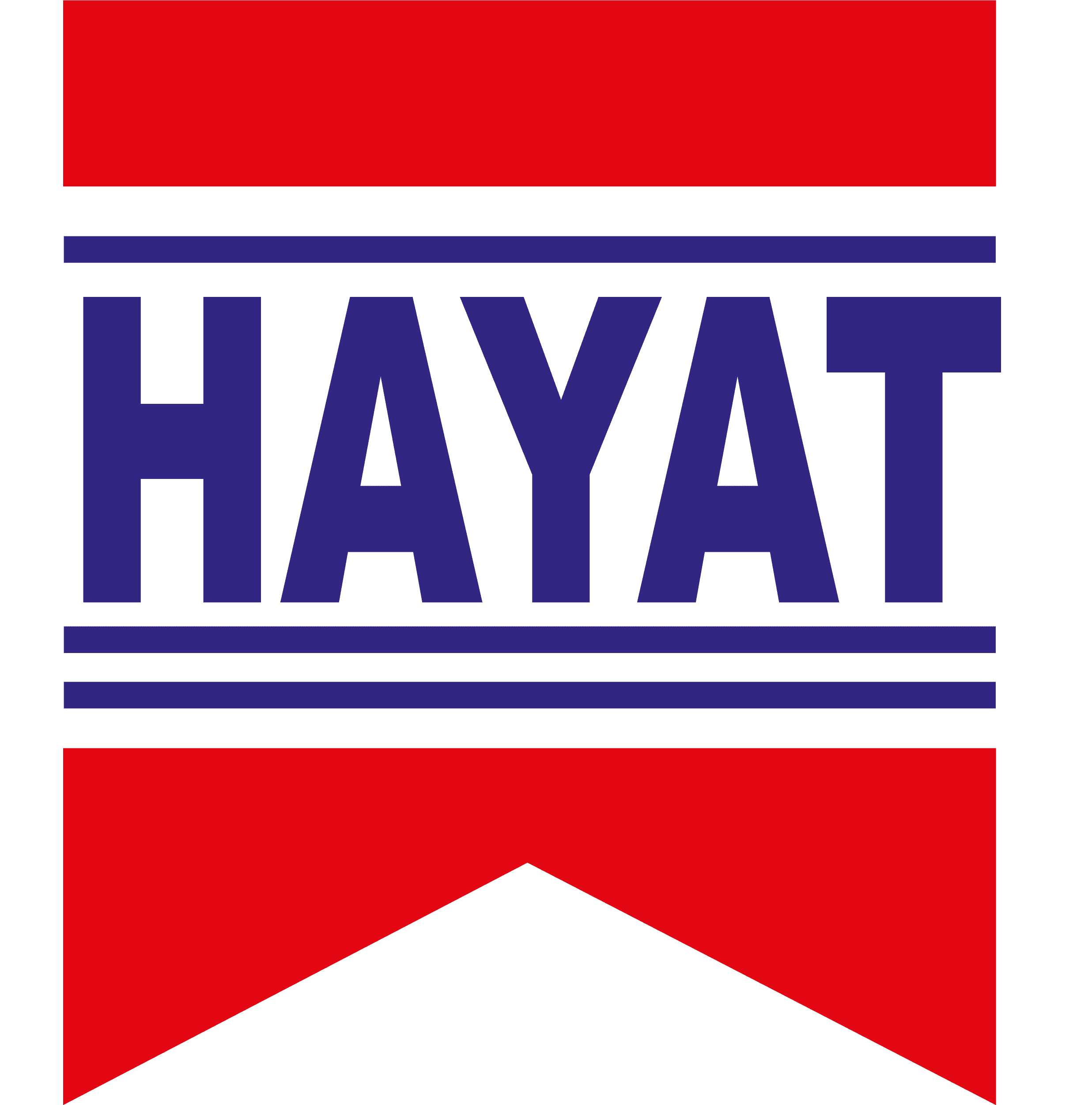 Logo Hayat, client BrainBow Agency